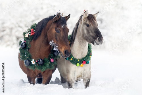 Картината върху платно Horses wearing a christmas wreath in front of a snowy winter landscape: A bay br