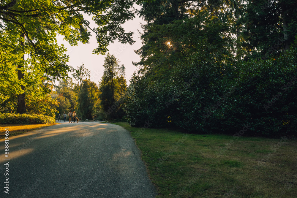Obraz premium four people and a dog walking on footpath during an autumn sunset, sun rays shining through tree