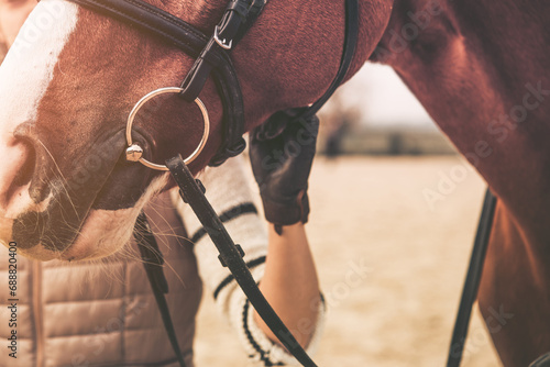Taking care of your horse and its health. Close-up of the bit in the horse's mouth. The rider's hand on the horse's bridle. Equestrian theme.