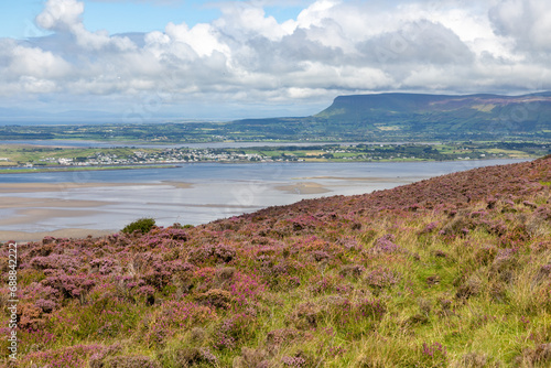 Knocknarea mountain vegetation  with ocean in background photo