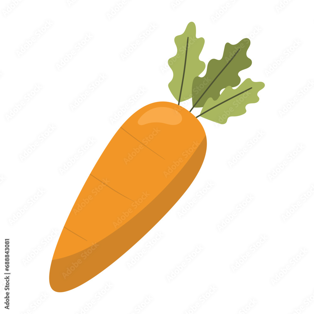 illustration of a carrot vegetable illustration of a carrot vegetable