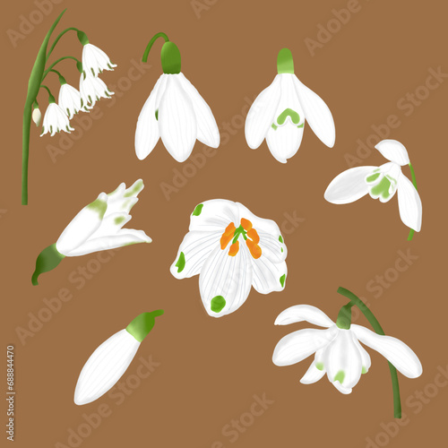 pattern with snowdrops