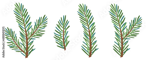 Christmas spruce branch, evergreen tree, fir, vector icon, winter plants, New Year wood, holiday decoration. Hand drawn illustration.