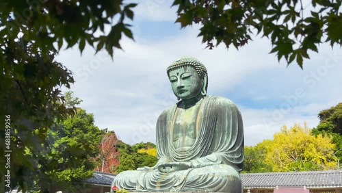 Timelapse of The Great Buddha Daibutsu, a view through the autumn leaves, is a lanmak and the sacred site is located in Kotokuin Temple. which is a symbol of Kamakura city Kanagawa Prefecture Japan photo