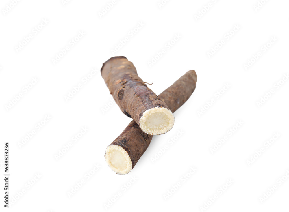 Fresh raw salsify roots on white background Fresh raw salsify roots on white background