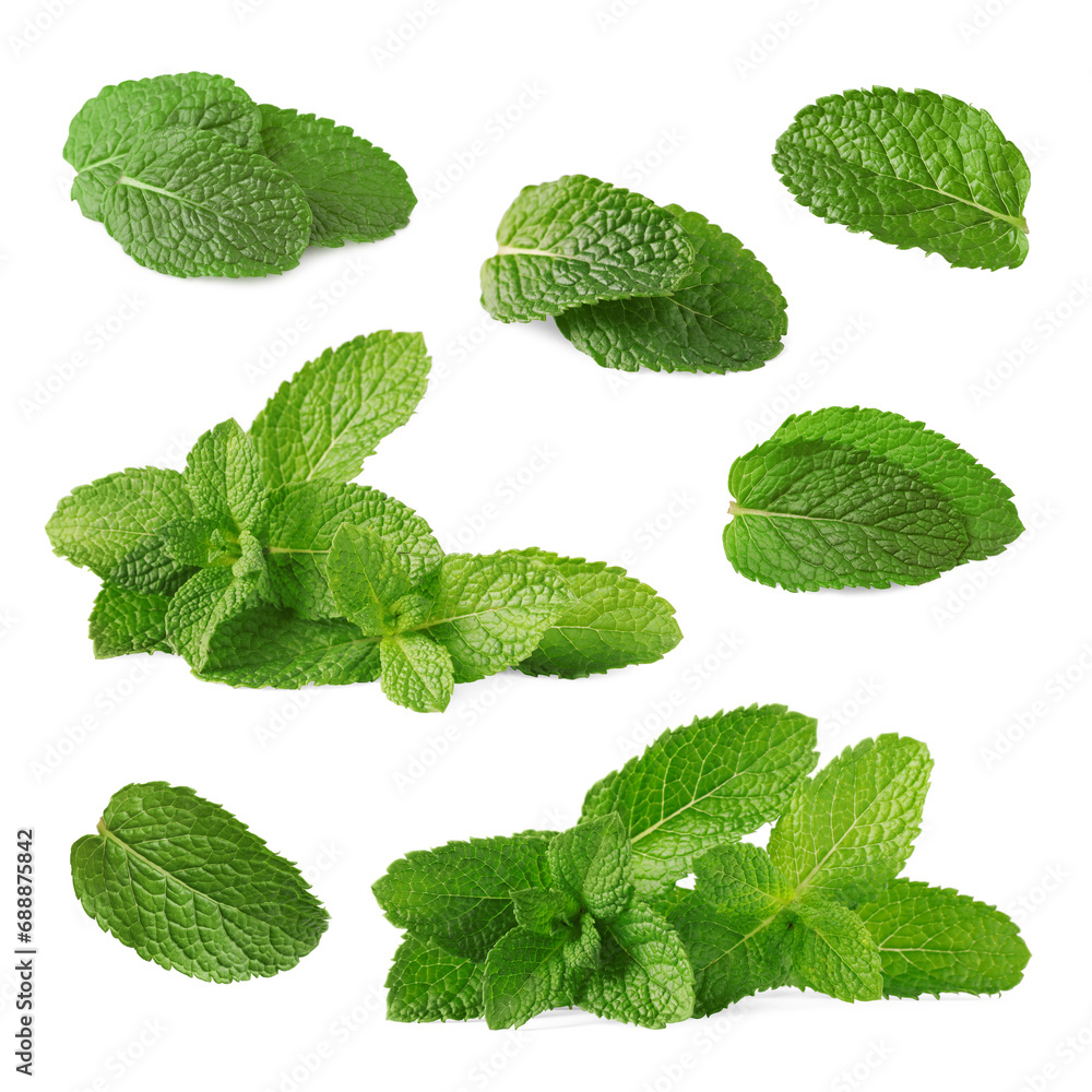 Fresh mint leaves isolated on white, set Fresh mint leaves isolated on white, set