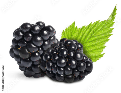 Tasty ripe blackberries and green leaf isolated on white