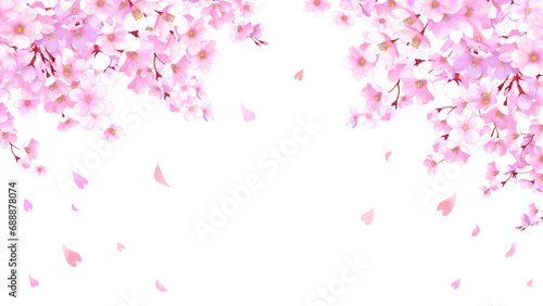 桜と舞い散る花びらのフレーム 桜吹雪 飾り枠 素材 お花見 入学 卒業 入園 卒園 ひな祭り ひなまつり 白背景 白バック 16:9