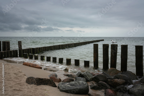 View of the Baltic Sea and wooden breakwaters of the city beach on a summer day, Svetlogorsk, Kaliningrad region, Russia photo