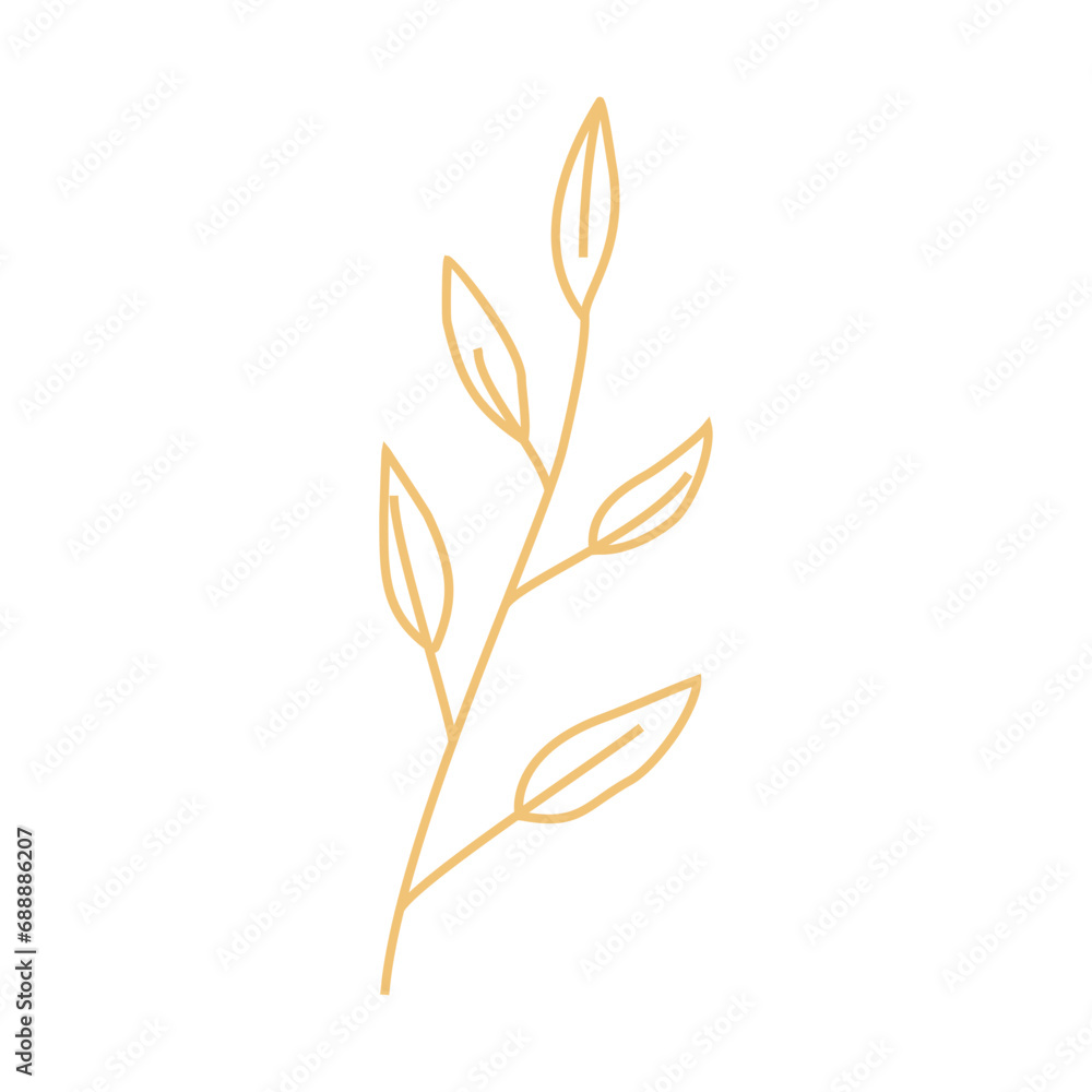 Floral Line Art