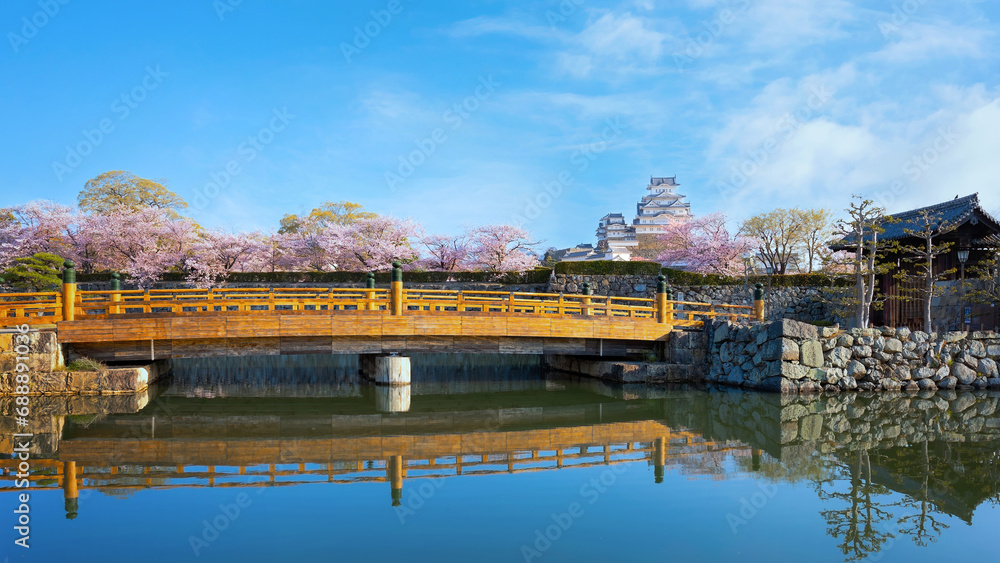 Himeji Castle in Himeji, Japan with full bloom Cherry Blossom in spring