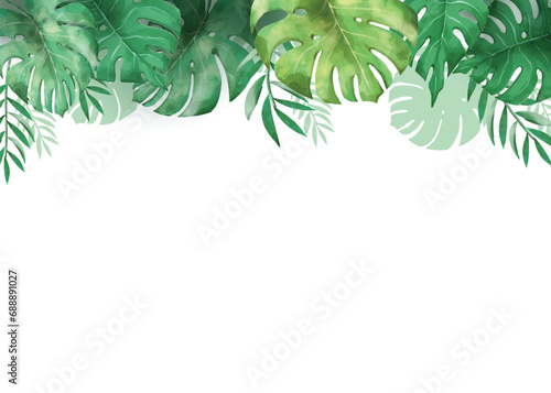 Green Monstera Leaves Border in Watercolor