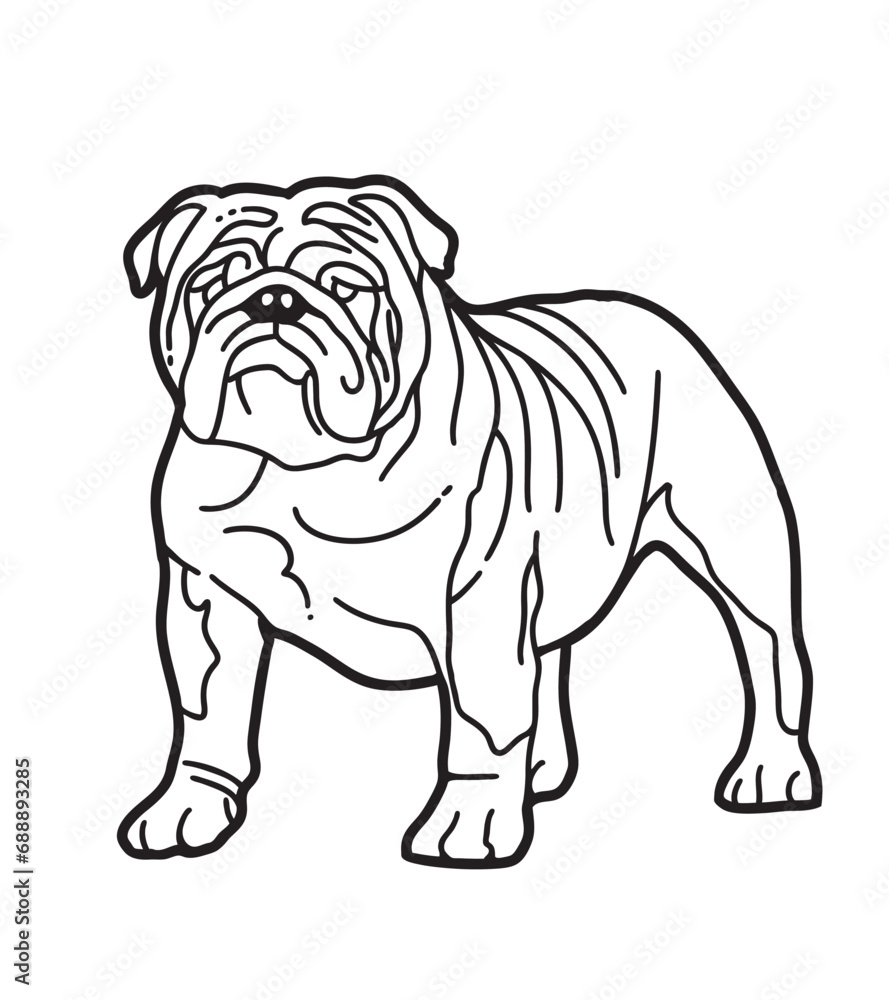 bulldog puppy illustration