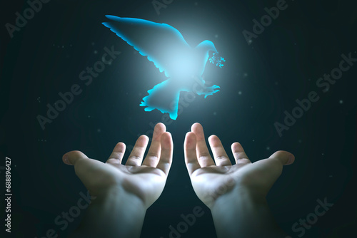 peace and freedom Concept, with a hand releasing a dove holding an olive branch