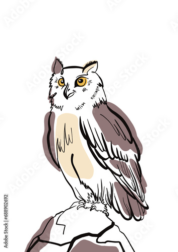 owl on a stone  (ID: 688902692)