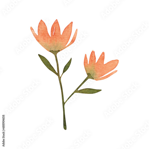 Brush Orange Flower Graphic Element