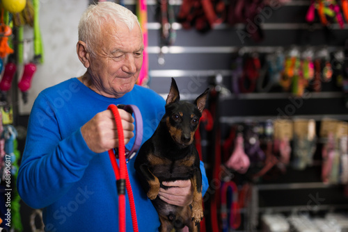 Elderly man with his miniature pinscher in hands standing in salesroom and choosing new collar and leash.