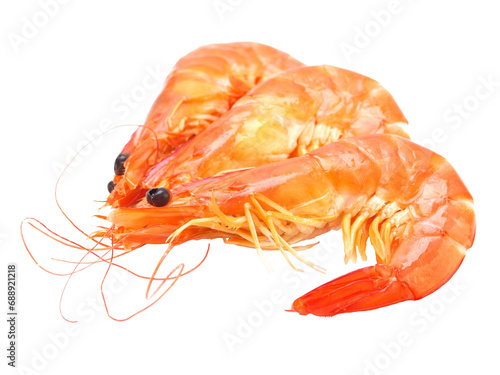 Shrimp on white background isolated