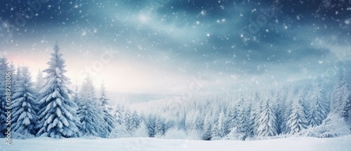 Serene winter landscape with snow-covered trees and starry sky. Seasonal background and nature. © Postproduction