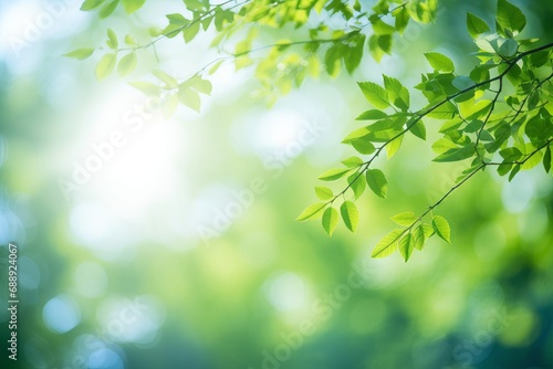 Blurred bokeh background of fresh green spring, summer foliage of tree leaves with blue sky and sun flare