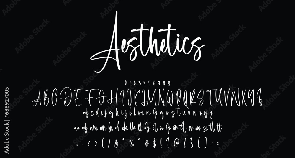 Fototapeta premium Aesthetics Beauty Script Handwritten font Best Alphabet Alphabet Brush Script Logotype Font lettering handwritten