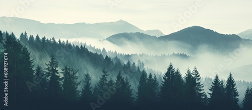 Vintage retro hipster style misty foggy mountain landscape with fir forest and empty area