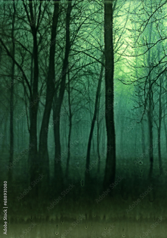 Fototapeta premium Spirit Forest Version01