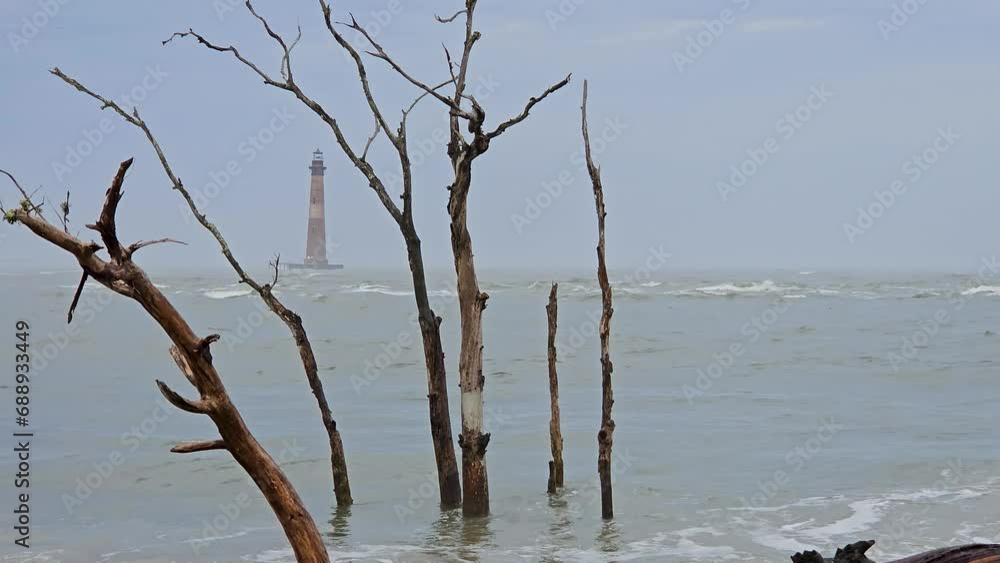 Dead trees getting washed over by waves and a red striped lighthouse in the background on Folly Island, South Carolina Dead trees getting washed over by waves and a red striped lighthouse in the background on Folly Island, South Carolina