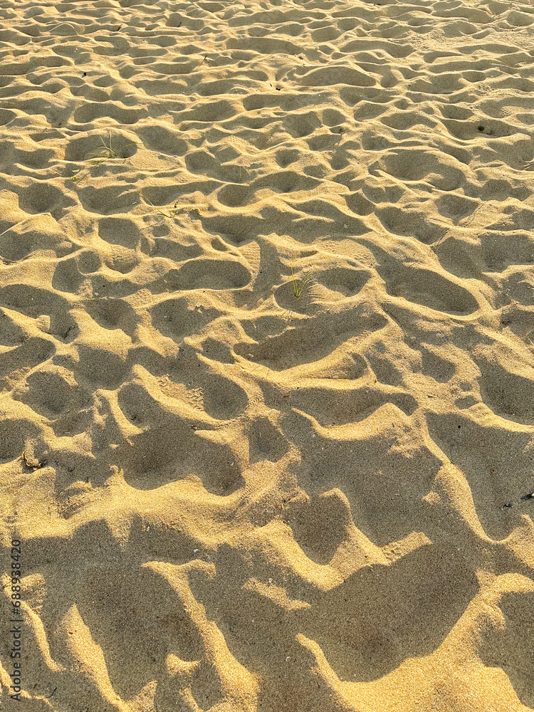 Fototapeta premium ripples in the sand