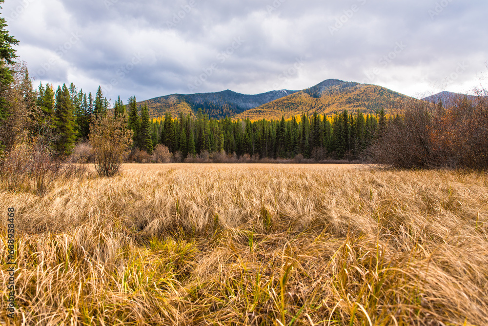 Fototapeta premium Dry Pond In West Glacier