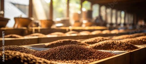 Selective focus on high-quality coffee beans drying in natural sunlight on shelves at a coffee plant in a factory community north of Chiang Rai, Thailand. photo