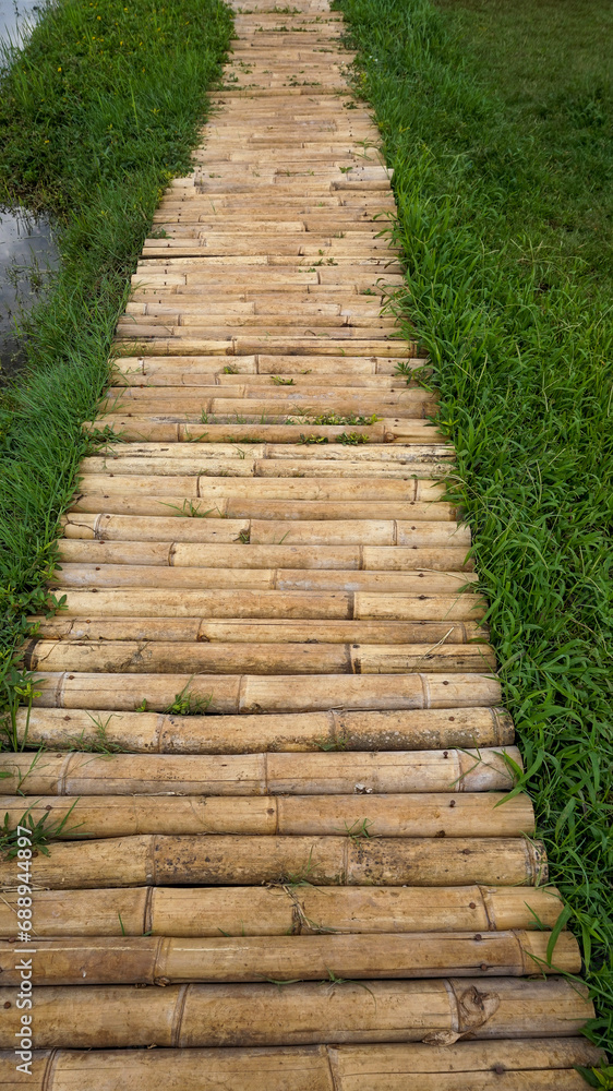bamboo path in the middle of rice fields