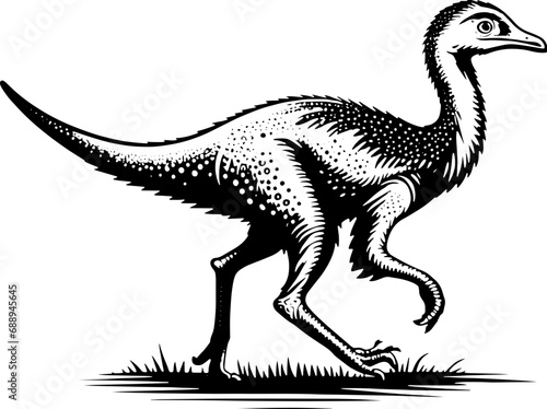 Ornithomimus icon 6