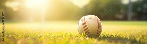 Cricket sport concept banner 