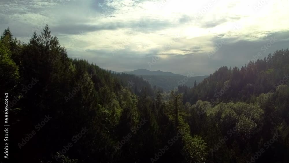 Flying through the trees to reveal a heavenly sky in the hills of the Snoqulmie Valley, Washington State Flying through the trees to reveal a heavenly sky in the hills of the Snoqulmie Valley, Washington State
