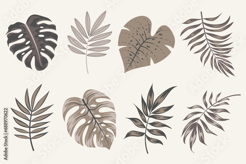 Tropical leaves vector clipart. Exotic leaves, monstera and plants on a light background. Abstract tropical design, isolated elements. Vector illustrations.