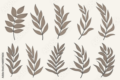 Tropical leaves vector clipart. Exotic leaves and plants on a light background. Abstract tropical design  isolated elements. Vector illustrations. 