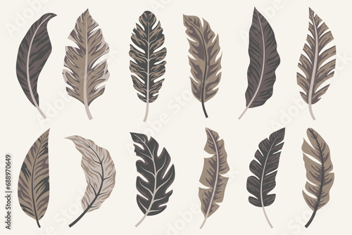 Tropical leaves vector clipart. Exotic leaves and plants on a light background. Abstract tropical design, isolated elements. Vector illustrations. © Jen