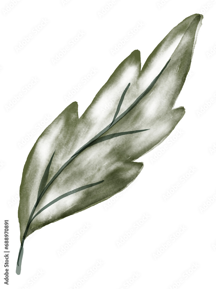 Obraz premium Green Leaf Watercolor Graphic Element