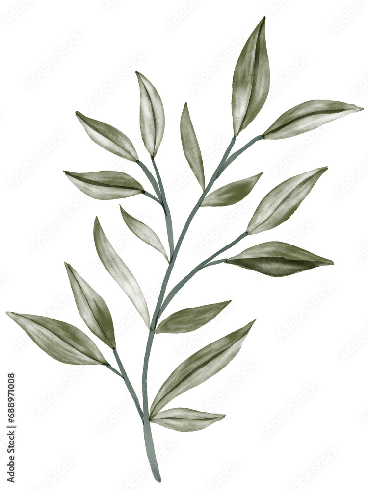 Fototapeta premium Green Leaf Watercolor Graphic Element