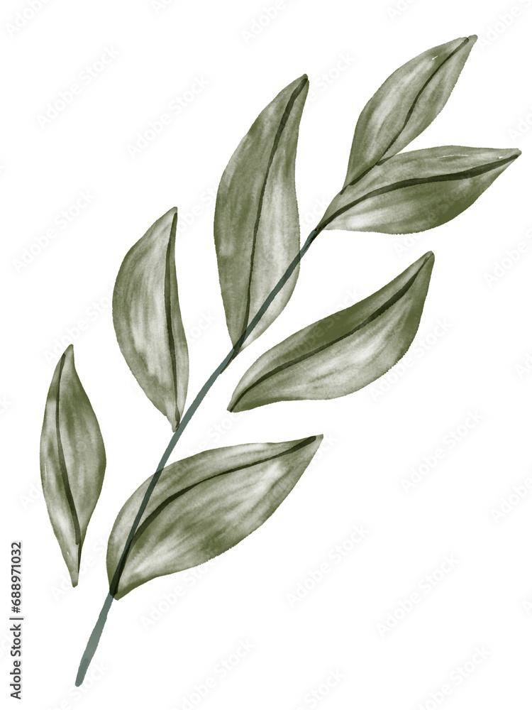 Green Leaf Watercolor Graphic Element