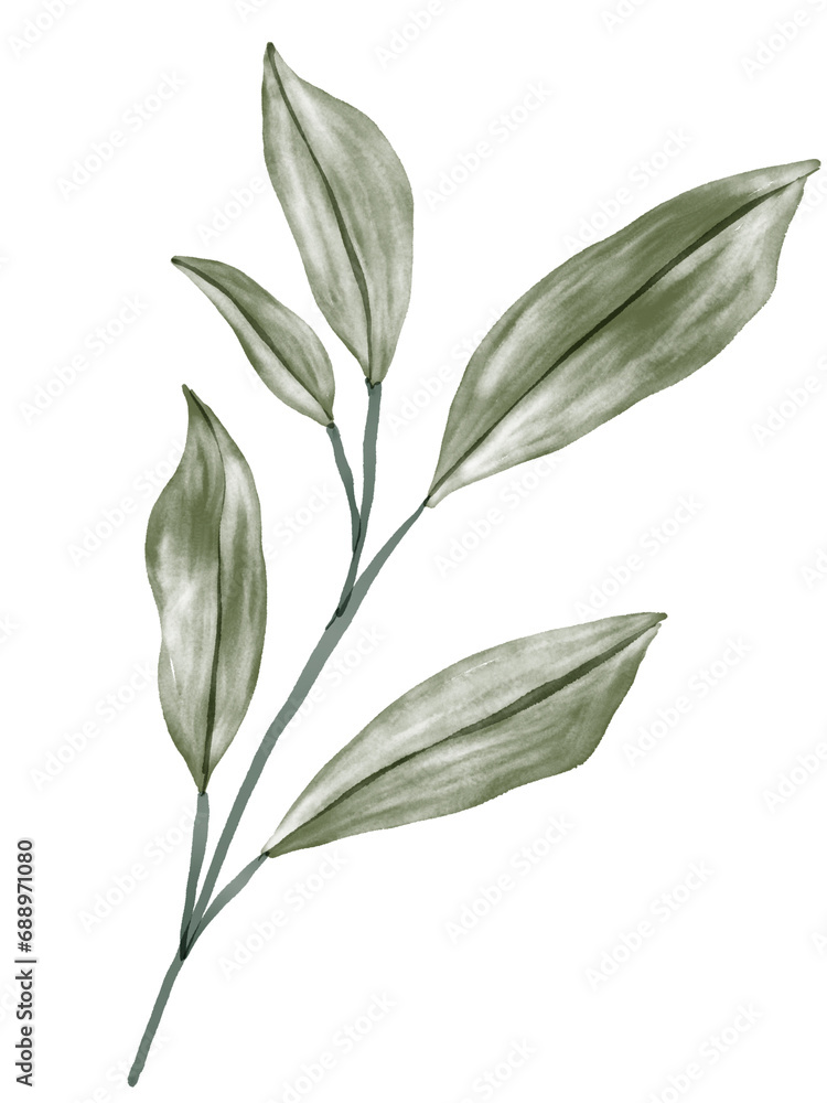 Obraz premium Green Leaf Watercolor Graphic Element