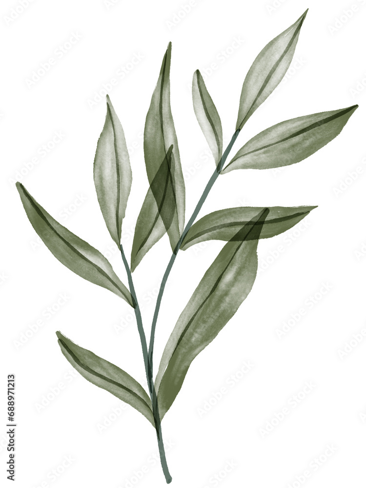 Fototapeta premium Green Leaf Watercolor Graphic Element