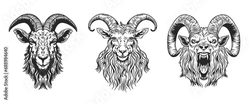 A set of illustrations of farm animals. A hand-drawn goat. Retro style engraving. An aggressive goat