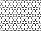 Hexagon Beehive honeycomb pattern wall black and white