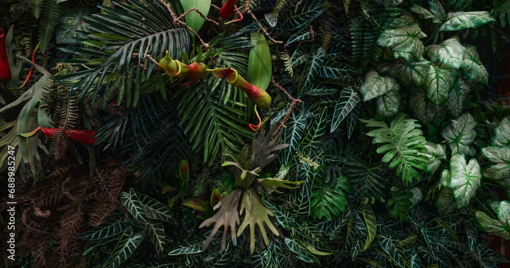 Group of dark green tropical leaves background, Nature Lush Foliage Leaf Texture, tropical leaf.