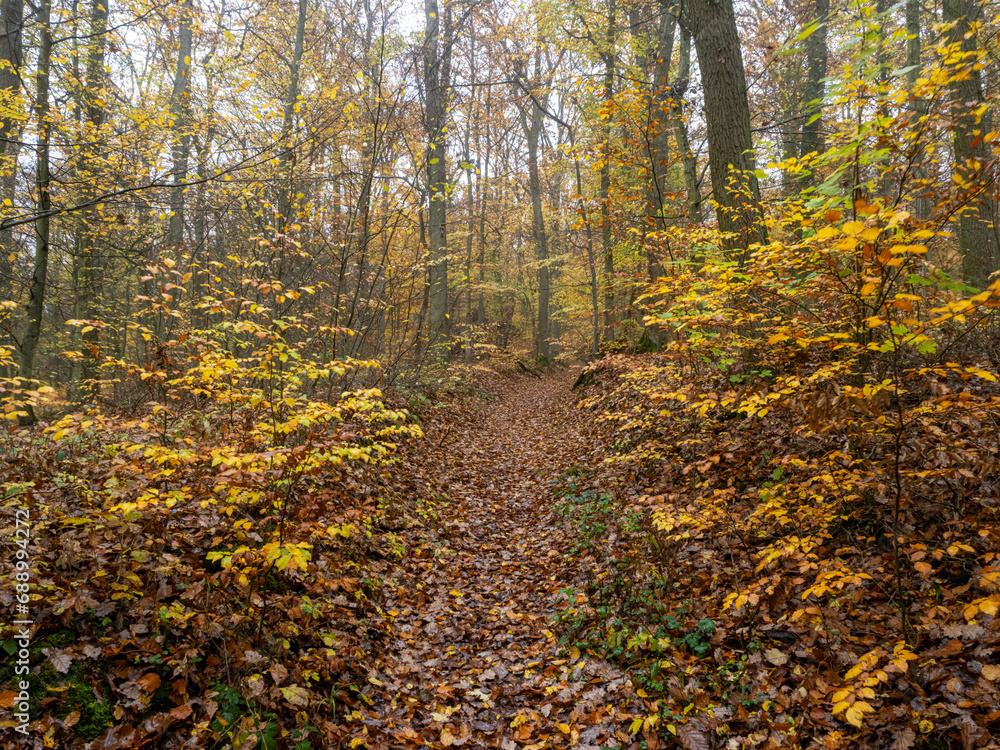 Herbst Herbst