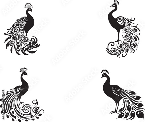 set of vector peacock  feather isolated on white Background