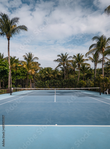 Fototapeta Naklejka Na Ścianę i Meble -  palm trees and tennis court