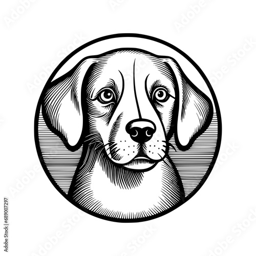 illustration of a beagle